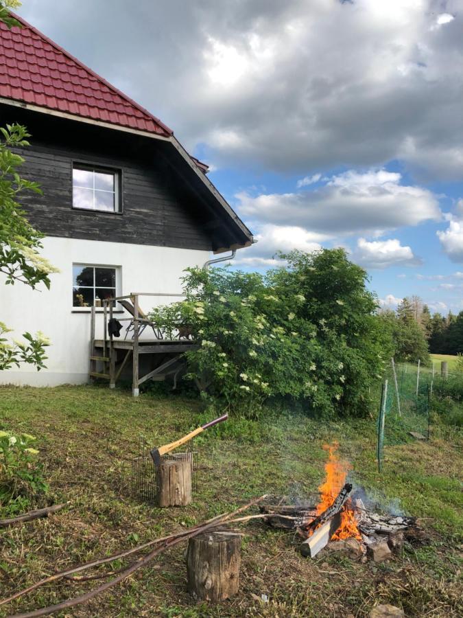 Pfaffensteghof Apartment Rickenbach  Exterior photo